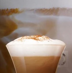 Nescafé Dolce Gusto Cappuccino Capsules - 90 Koffiecups 13 Nescafé Dolce Gusto Cappuccino Capsules - 90 Koffiecups -KoffieLuxe Aanbiedingen Winkel 1190x1200 3