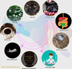 Kopi Luwak Koffie. 35 Gram Ongemalen Bonen. Direct Trade. Single Origin. The Original By Rich.Exclusive. -KoffieLuxe Aanbiedingen Winkel 1200x1153 1