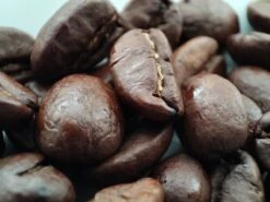 Voordeelpakket: Den Leeuw Lungo (80 Koffiecups) - Roast Koffiecups - Echte Hollandsche Koffie Van Den Leeuw In Nespresso Cups - Nespresso Compatibele Koffie Cups -KoffieLuxe Aanbiedingen Winkel 1200x900