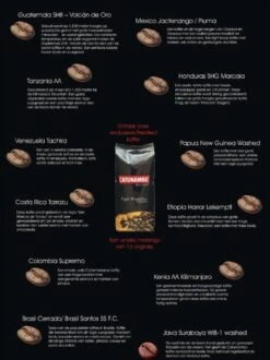 Catunambú Predilect Koffiebonen 1 Kilo - Premium Kwaliteit - Horecakoffie Voor Thuis - Ultiem Koffiegenot 7 Catunambú Predilect Koffiebonen 1 Kilo - Premium Kwaliteit - Horecakoffie Voor Thuis - Ultiem Koffiegenot -KoffieLuxe Aanbiedingen Winkel 897x1200 1